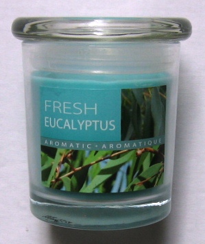 kaars bokaal 9xh10cm fresh eucalyptus