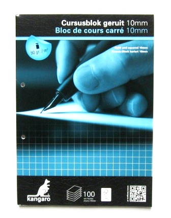 bloc de cours a4 100p 90gr carre 10x10