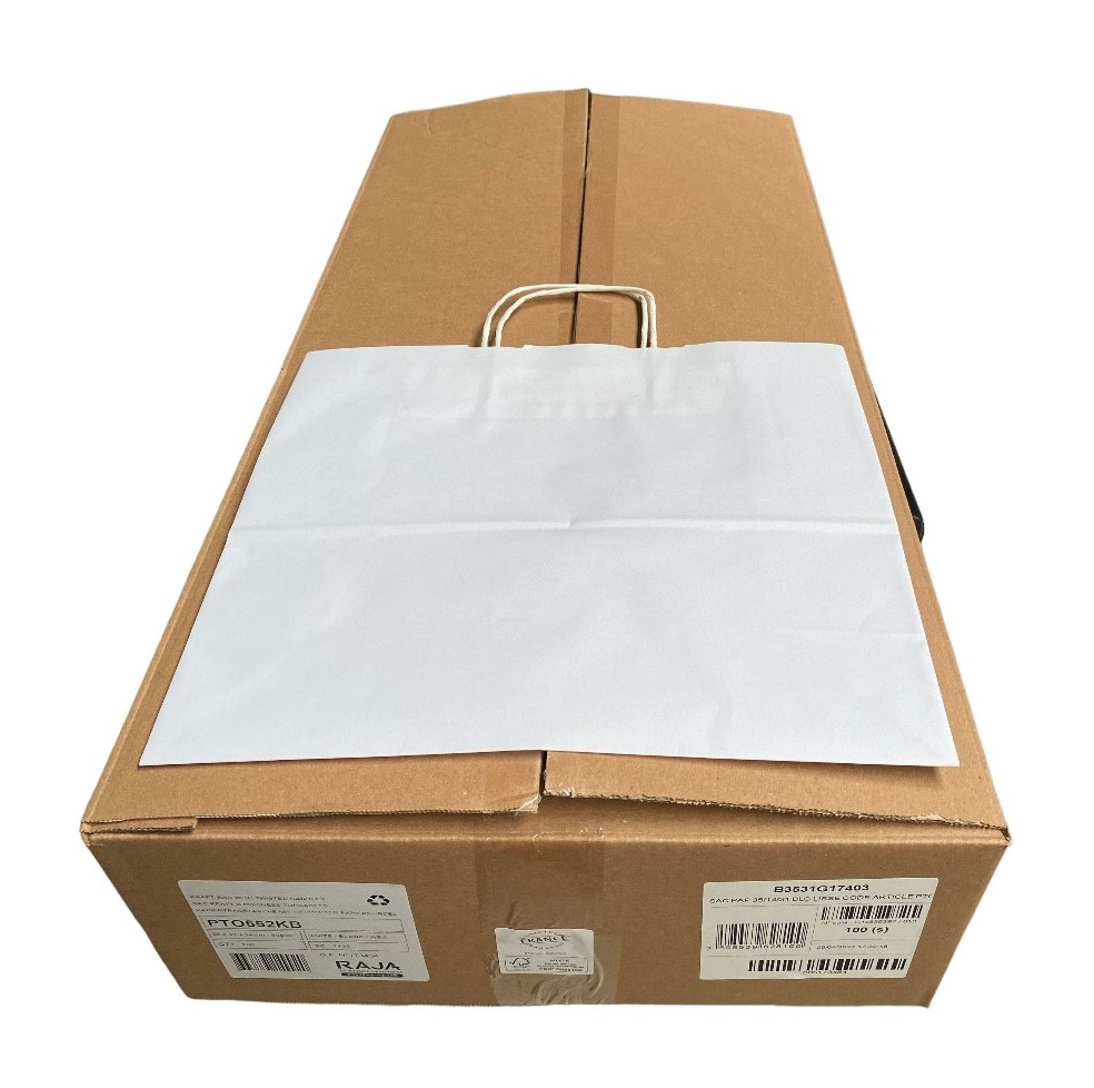 s-100 papieren zakken kraft