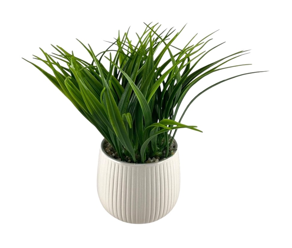 plantes en pot de fleurs