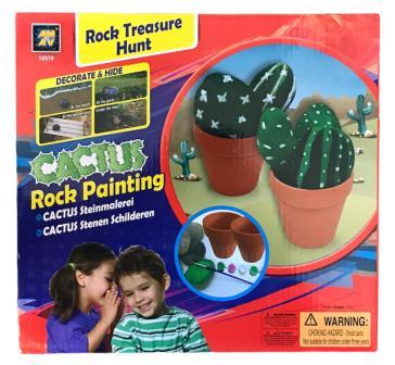 cactus stenen beschilderen