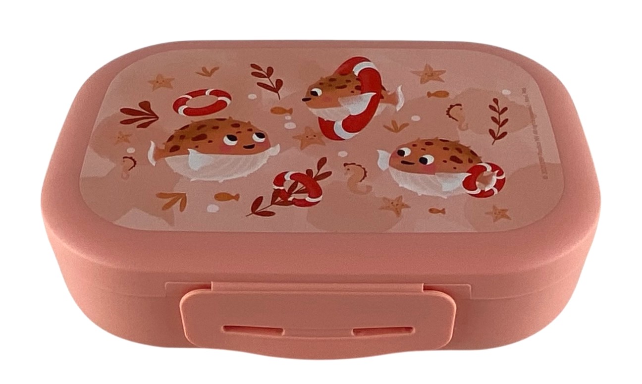 clip lunchbox amuse dbp medium rose poissons