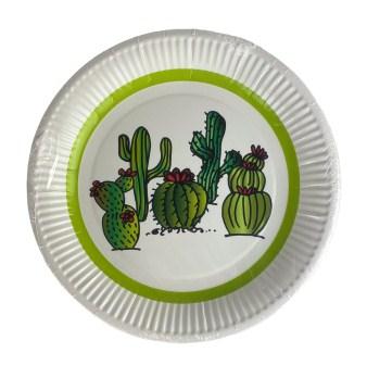 assietes en carton s-6 cactus promo