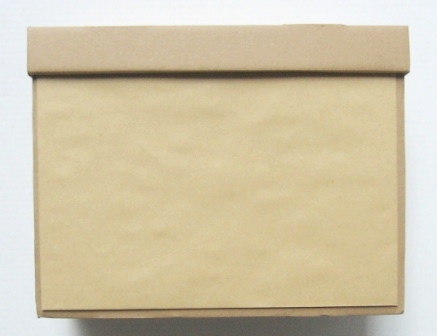 x250 enveloppes sacs 23x31cm